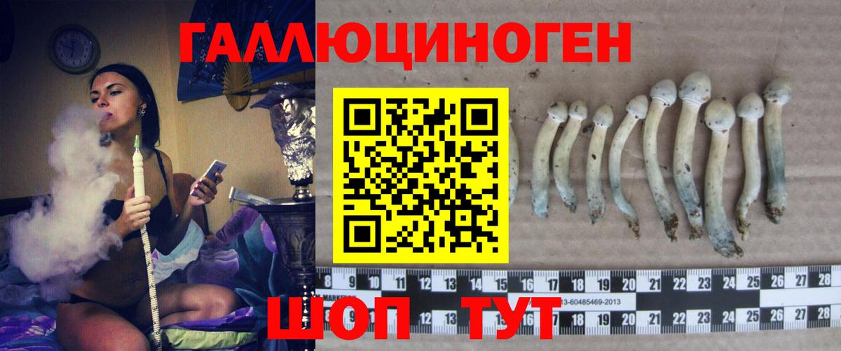 Галлюциногенные грибы мицелий Ярославль