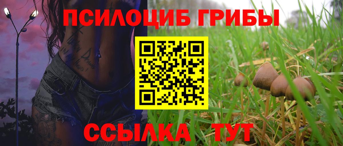 Ярославль  Галлюциногенные грибы прущие грибы  Вход с VPN 